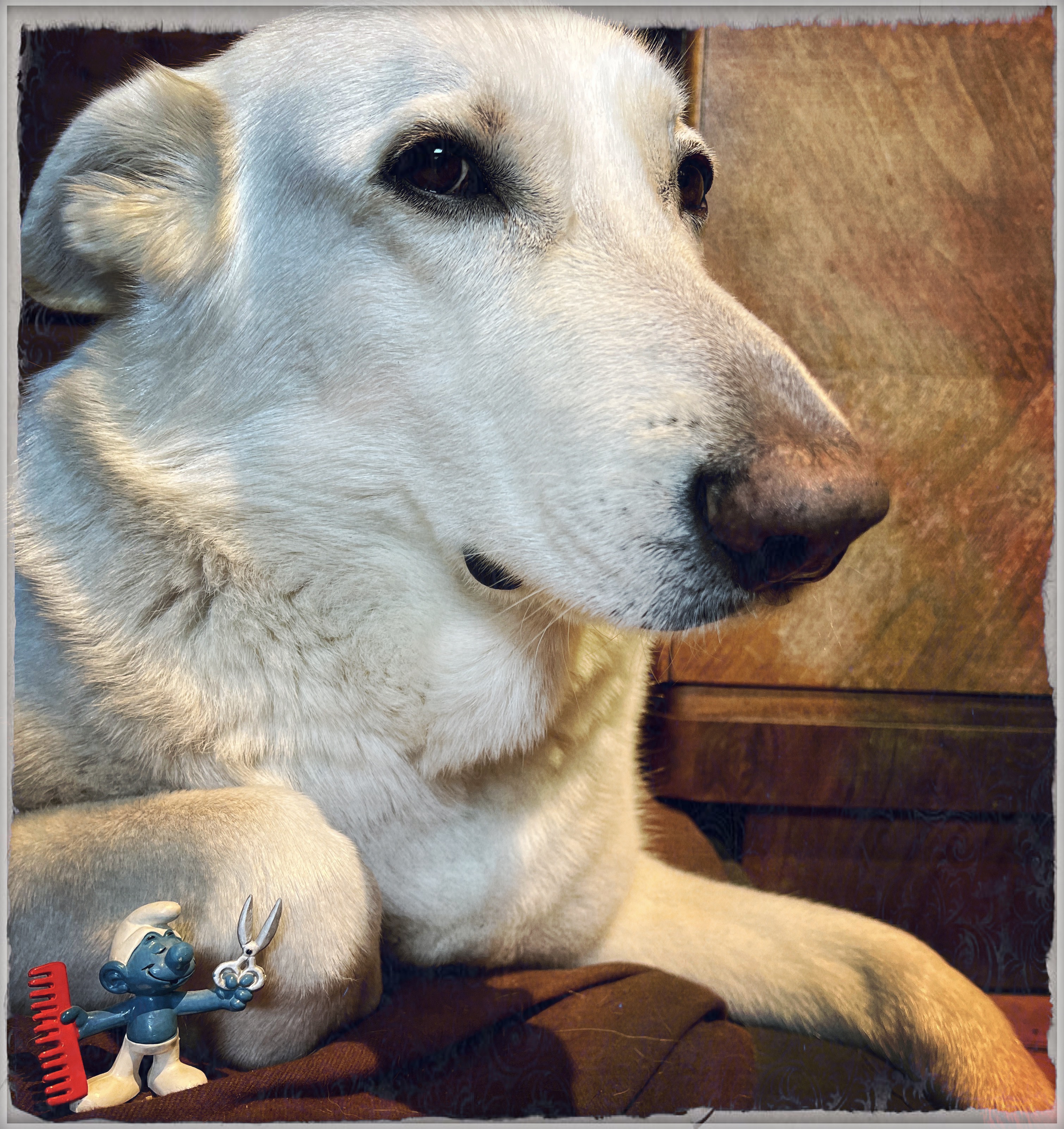 ein frisoer hat's schwör