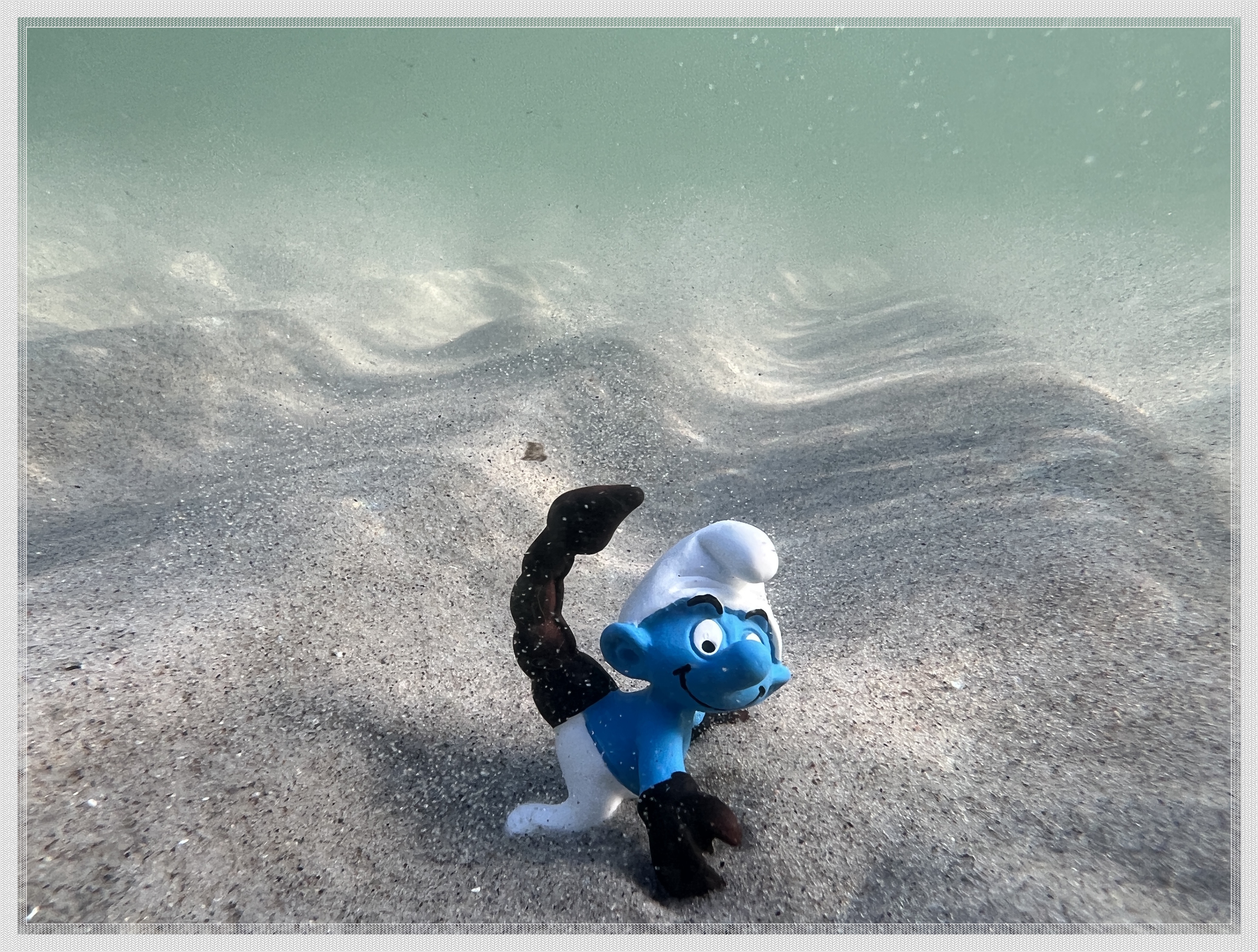 the frog and the scorpion